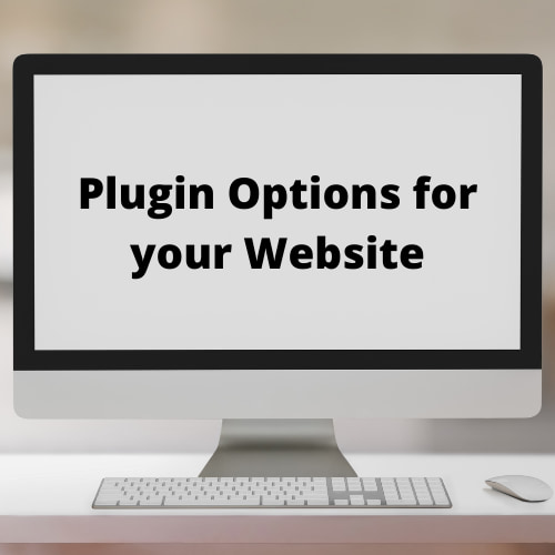Plugin Options for your Website